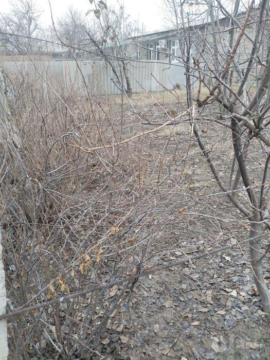 Мирзо-Улугбекский район